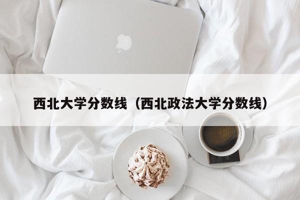 西北大学分数线（西北政法大学分数线）