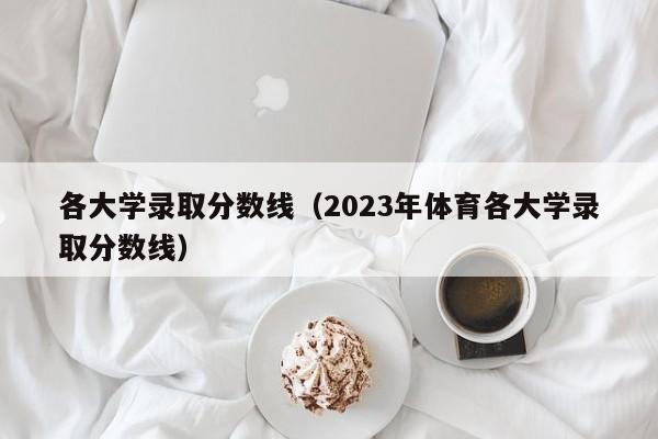 各大学录取分数线（2023年体育各大学录取分数线）