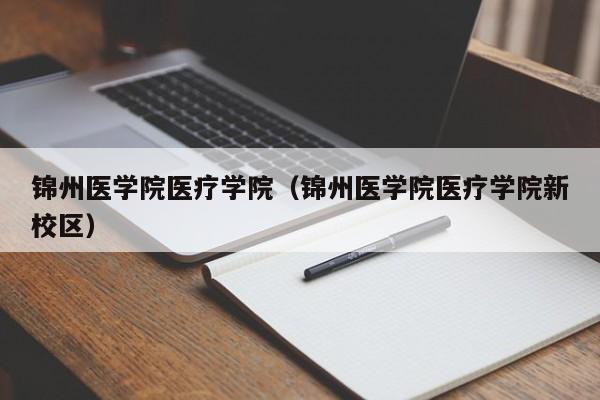 锦州医学院医疗学院（锦州医学院医疗学院新校区）