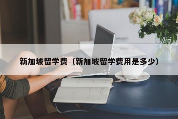 新加坡留学费（新加坡留学费用是多少）