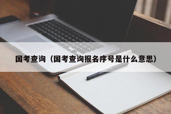 国考查询（国考查询报名序号是什么意思）