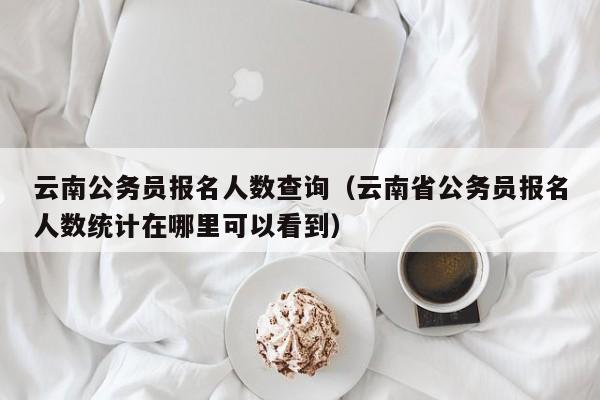 云南公务员报名人数查询（云南省公务员报名人数统计在哪里可以看到）