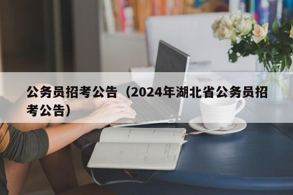 公务员招考公告（2024年湖北省公务员招考公告）