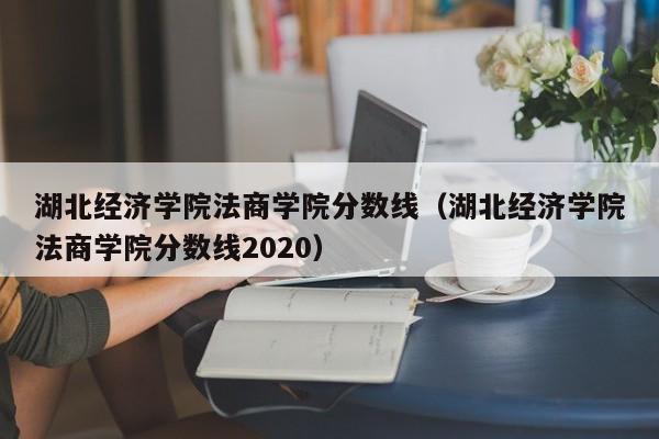 湖北经济学院法商学院分数线（湖北经济学院法商学院分数线2020）