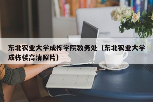 东北农业大学成栋学院教务处（东北农业大学成栋楼高清照片）